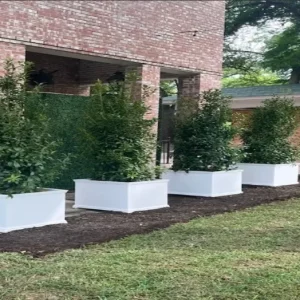 Planters + Pedestals